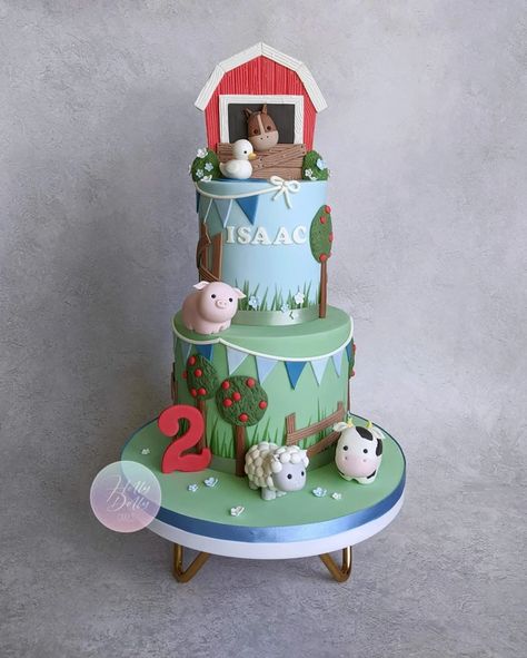 Baby Christening Cake, Dolly Cakes, Planes Birthday Cake, Baby Christening Cakes, Barnyard Cake, Barn Cake, Cake Celebration, Holly Dolly, Farm Cake