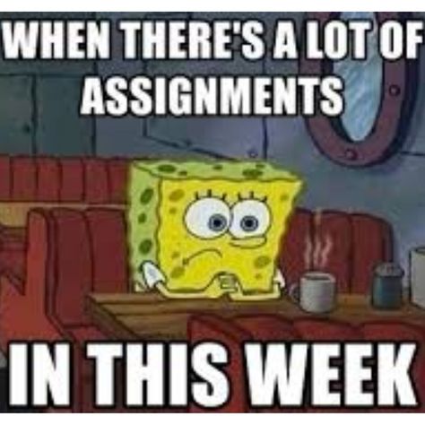 Looking at my assignments this week like: 'I didn't choose the assignment life, the assignment life chose me.' 📚😅 #AssignmentOverload #StudentStruggles#college #university #studentlife #memes #student British Memes, Studying Memes, College Memes, Super Funny Memes, Chose Me, College Humor, Assignment Help, College University, Academic Writing