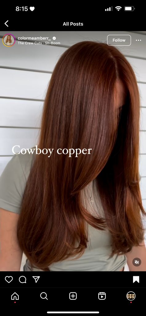 Cowboy Copper, Copper Hair, Crew Cuts, Hair Envy, Aesthetic Hair, Hair Inspo, Hair Inspiration, Cowboy, Hair Color