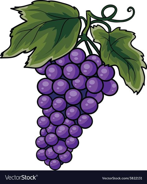 Bunch Of Grapes, Preschool Art Activities, Grape Bunch, Cartoon Images, Printable Image, Preschool Art, Art Activities, Stone Art, Transparent Png