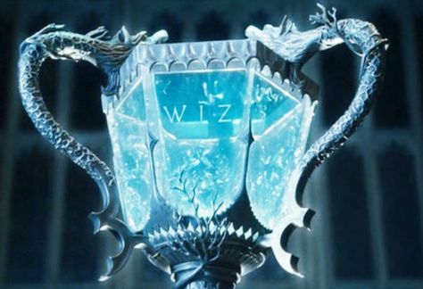 Chalice of Champions. Vessel of Victory. The Tri-Wizard Cup Triwizard Cup, Harry Potter Goblet, Triwizard Tournament, Michael Gambon, Harry Potter Quiz, The Goblet Of Fire, Potter Facts, Harry Potter Houses, Hogwarts Aesthetic