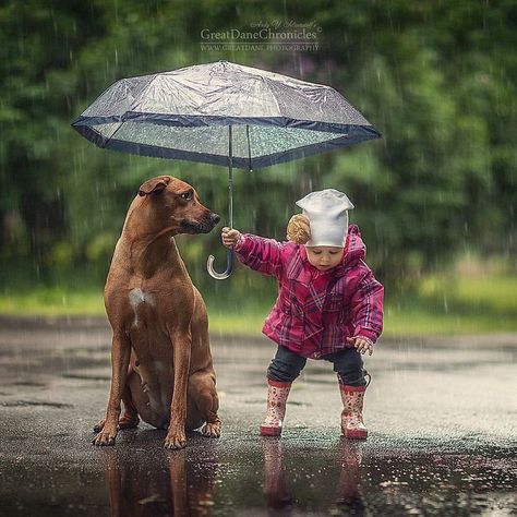 Photographers Post Pictures Of Children With Animals On Instagram And The Result Is Photo Shoots Of A Fairy Tale Composite Photography, Account Recovery, Cinderella Dresses, Dogs And Kids, Summer Dog, A Rainy Day, Cute Cats And Dogs, 4 Months, Natural Colors