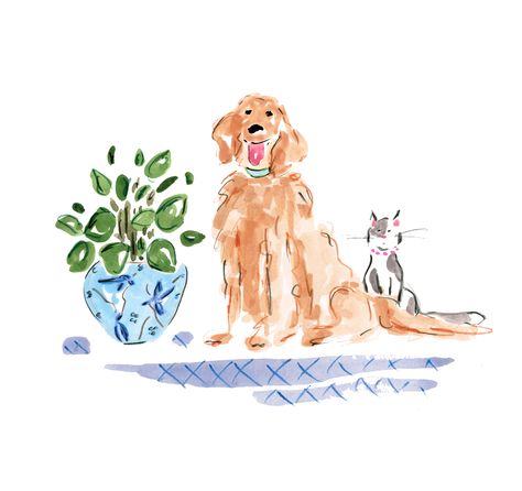 Golden Retriever Watercolor Easy, Watercolor Golden Retriever, Dear Animal, Golden Retriever Watercolor Painting, Watercolour Golden Retriever, Golden Retriever Wallpaper, Vintage Golden Retriever Illustration, Golden Retriever Print, Golden Retriever Illustration