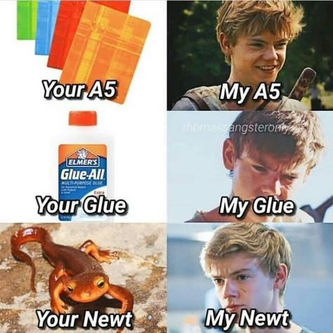 Newt Memes Maze Runner, The Glade Maze Runner, Movies Like Maze Runner, Maze Runner Funny Humor, Imagine Maze Runner, Newt Maze Runner Imagines, The Maze Runner Newt, Maze Runner Newt, Maze Runner Characters