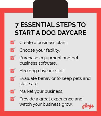 Doggy Day Care Ideas, Doggy Daycare Ideas, Dog Daycare Ideas, Doggy Daycare Business, Dog Boarding Facility Ideas, Dog Daycare Design, Pet Shop Logo Design, Dog Boarding Ideas, Dog Daycare Business