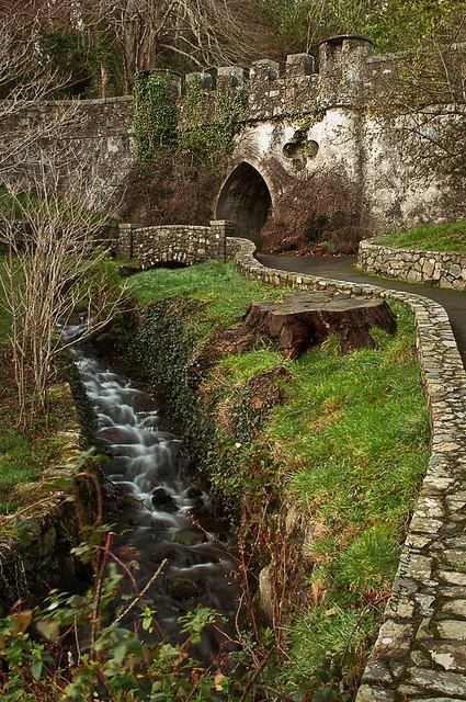 ” Beautiful Ireland, Chateau Medieval, Have Inspiration, Forest Park, Medieval Castle, Abandoned Buildings, Ireland Travel, Pretty Places, Northern Ireland