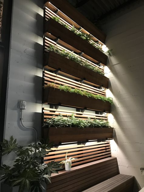 Indoor Vertical Vegetable Garden, Hydroponic Wall Garden Indoor, Hydroponic Wall Garden, Home Interior Design 2023, Hydroponic Wall, Modern Indoor Plants, Indoor Plants Decor Ideas, 2023 Home Interior, Wall Garden Indoor