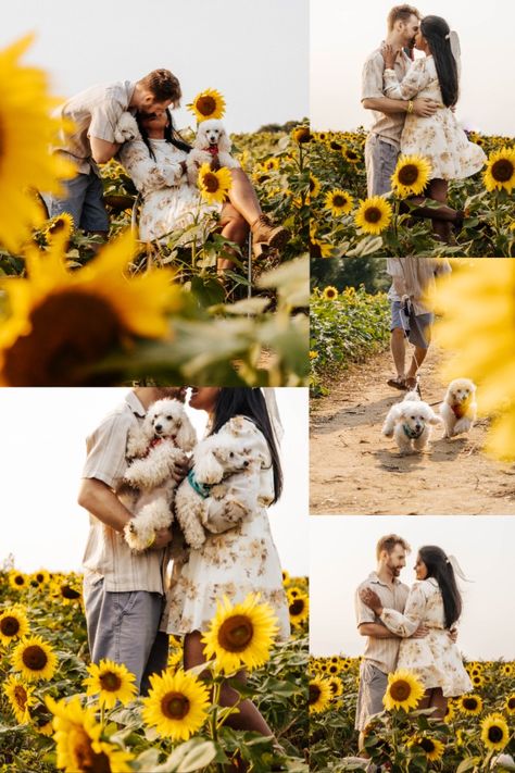 Couple photoshoot in Long Island-NY in a pet friendly sunflower maze in August. Couple With Dogs Photoshoot, Couple Photoshoot With Dog, Dogs Photoshoot, Sunflower Maze, Opening Your Own Business, Sunflower Field, Couple Portrait, Long Island Ny, Couple Photoshoot