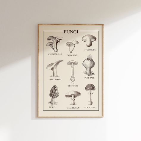 Mushroom Wall Decor, Biology Poster, Vintage Style Poster, Mushroom Species, Fungi Art, Mushroom Poster, Aged Paper, Kitchen Wall Hangings, Wall Decor Kitchen