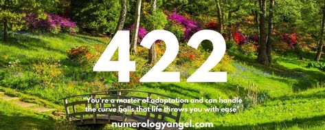 422 Angel Number Meaning, Angel Number Meaning, Numerology Life Path, Angel Number Meanings, Number Meanings, Angel Number, Angel Numbers, Life Path, Holistic Healing