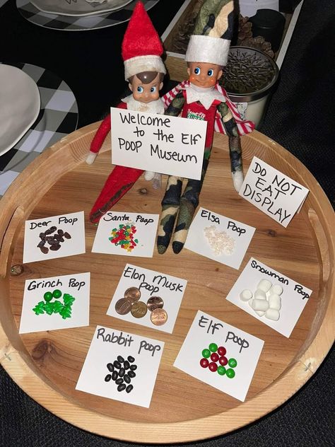 Museum Of Poop Elf, Elf Poo Museum, Elf On The Shelf Museum Of Poop, Veterinary Elf On The Shelf, Elf Pet Arrival Ideas, Elf And Pet Ideas, Elf On The Shelf Poop Museum, Elf On The Shelf Ideas Poop, Elf Poop Museum