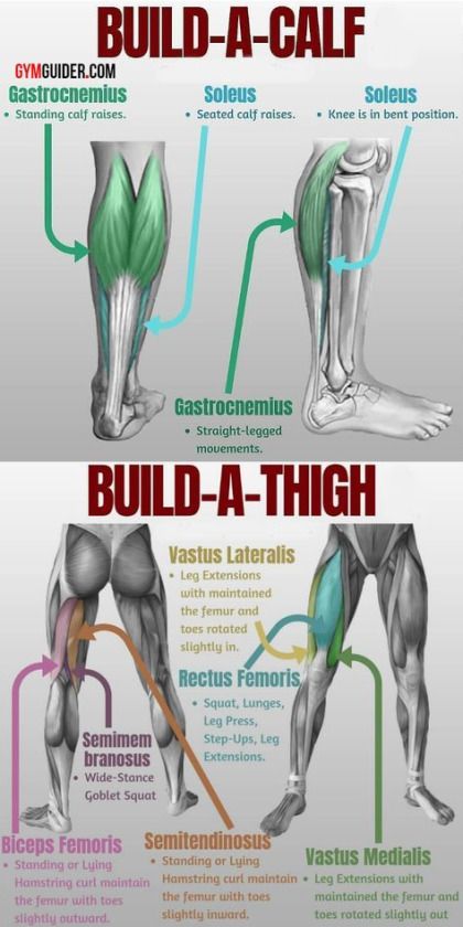 Full Leg Workout, Fitness Studio Training, Calf Exercises, Gym Antrenmanları, Leg Workouts, Leg Training, Muscle Anatomy, Weight Training Workouts, Gym Workout Tips