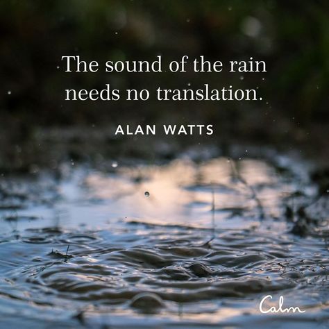 Calm on Instagram: “☔ The rain makes me feel _________. #CalmQuotes Listen to the soothing sound of Rain on Leaves anytime (link in bio).” Rain On Leaves, Calming Rain, Alan Watts Quotes, Rain Quotes, Alan Watts, Cute Good Morning Quotes, Calm Quotes, Cute Good Morning, Sound Of Rain