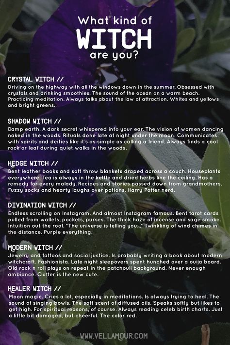 I am 100% modern witch. What are you? Shadow Witch, Which Witch, Under Your Spell, Wiccan Witch, Magick Spells, Eclectic Witch, Wiccan Spell Book, Hedge Witch, Witchcraft For Beginners