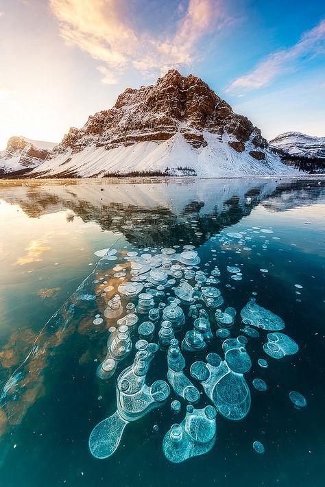 Abraham Lake Canada, Abraham Lake, Winter Vacation, Aruba, Barbados, Places Around The World, Beautiful Photography, Belize, Land Scape