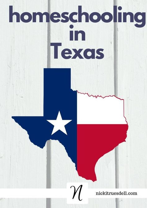 Texas Homeschool Curriculum, Texas Homeschool, Homeschool Transcripts, Pre K Curriculum, Art History Major, Homework Helpers, Stick People, History Major, Homeschooling Resources