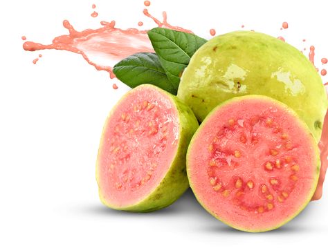 Guava Images, Jambu Biji, Guava Benefits, Homemade Mouthwash, Guava Leaves, Guava Fruit, Pink Guava, Guavas, Healthy Fiber