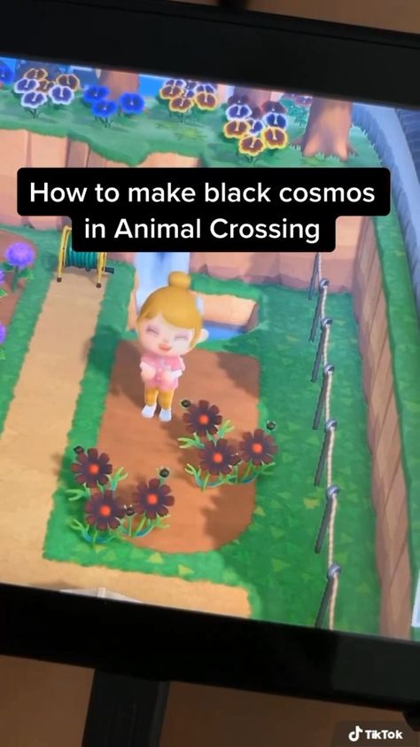 flufffymonkey on Instagram: Do you want to see more flower breeding tutorials? 🤔 #acnh #hybridflowers #acnhflowers #acnhpattern Flower Breeding Guide Acnh, Acnh Flower Breed, Acnh Design, Black Flowers, Animal Crossing, See More, Purple, Flowers, Animals