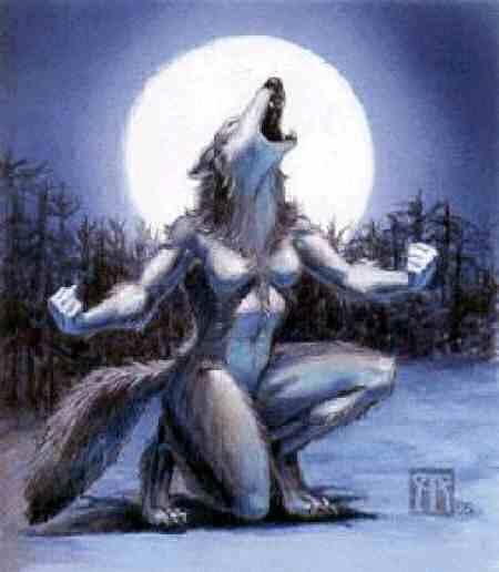 Werewolf Woman, Balto And Jenna, Wolf Meme, Female Werewolves, Werewolf Girl, Alpha Werewolf, Wolf Images, Alpha Wolf, Werewolf Art