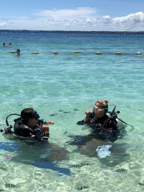 Mactan Cebu, Oceanography Marine Biology, Scuba Diving Lessons, Diving Lessons, Fun Holidays, Wildlife Biologist, Cebu Philippines, Marine Biologist, Marine Conservation