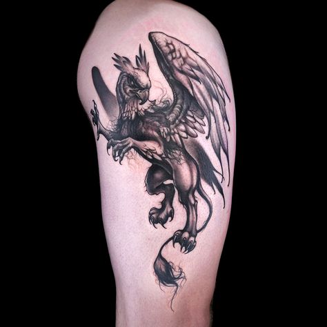 Black and Gray Griffin Tattoo by Jason Elliott Tattoo Griffin, Griffin Tattoo Design, Hypogriff Tattoo, Griffin Tattoo Men, Hippogriff Tattoo, Griffin Tattoo Feminine, Griffon Tattoo, Gryphon Tattoo, Griffin Tattoo