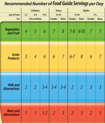 V e g a n D a d: On Why Veganism is Perfectly Normal Canada Food Guide, Healthy Eating Guide, Canada Food, Nutrition Chart, Canadian Food, Food Charts, Nutrition Guide, Group Meals, Diet Meal Plans