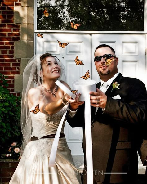 live butterfly release Butterfly Release Wedding Send Off, Butterfly Send Off Wedding, Wedding Butterfly Release, Butterfly Wedding Centerpieces, Butterfly Release Wedding, Butterfly Wedding Ideas, Butterfly Release, Butterfly Wedding Theme, Wedding Butterfly