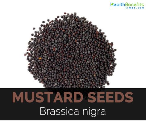 Mustard Seed Benefits, Mustard Benefits, Benefits Of Mustard, Brown Mustard, Mustard Seeds, Natural Health Remedies, Nutritional Value, Black Peppercorn, Mustard Seed