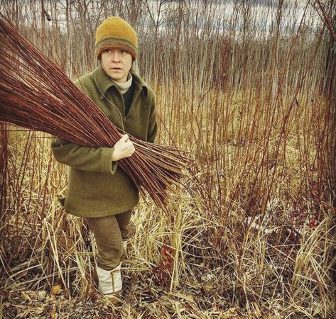 Willow Harvest Weaving Willow, Fences Alternative, Willow Sticks, Basket Willow, Twig Crafts, Weeping Willow Tree, Making Baskets, Berry Picking, Basket Weaving Diy