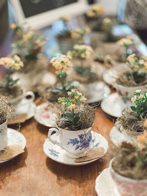 teacup wedding favors with miniature potted plants Teacup Wedding Decor, Tea Cup Wedding Favors, Wedding Favors Tea, Aesthetic Wedding Favors, Teacup Favors, Diy Wedding Arch Flowers, Tea Cup Wedding, Wedding Favor Centerpieces, Josie Wedding