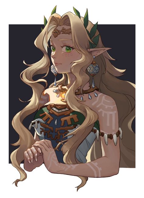 Queen Sonia, Weiblicher Elf, Link And Midna, Rp Ideas, Hyrule Warriors, Zelda Art, Legend Of Zelda Breath, Dungeons And Dragons Characters, Character Sheet