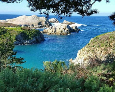 THE 15 BEST Things to Do in Carmel - 2022 (with Photos) - Tripadvisor Point Lobos State Reserve, Disney California Adventure Park, Alcatraz Island, California Adventure Park, Morgan Hill, Monterey Bay Aquarium, What To Do Today, California Vacation, To Do Today