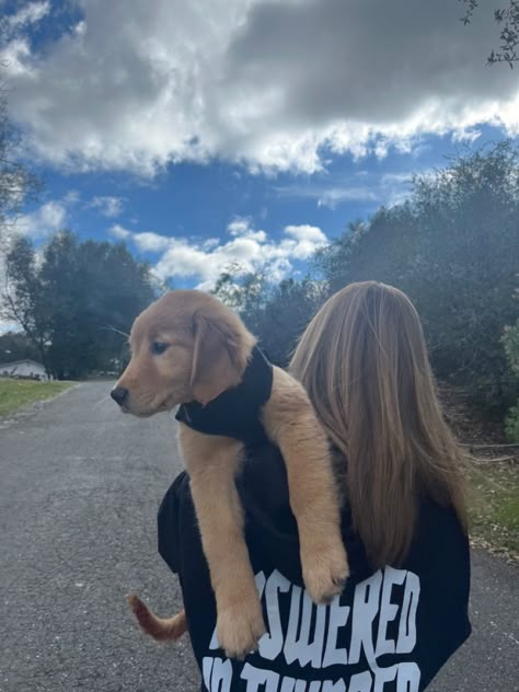 Golden Retriever Girl Aesthetic, Cute Aesthetic Golden Retriever Puppies, Dog Walking Pictures, Girl With Golden Retriever, Woman With Golden Retriever, Golden Retriever Girl, Golden Retriever Puppy Aesthetic Beach, Girl And Golden Retriever Aesthetic, Golden Retriever Aesthetic Beach