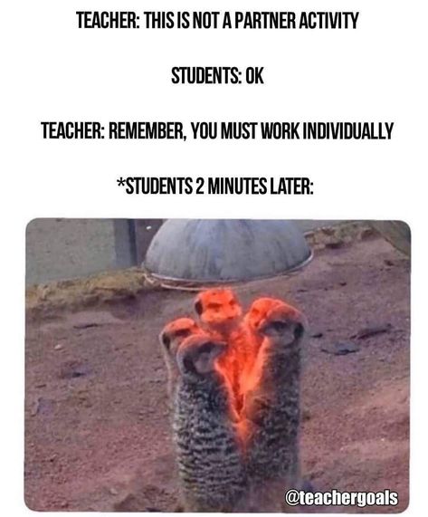 Middle School Teacher Humor, Funny Teacher Videos, Student Memes Funny, Maths Classroom, Teacher Videos, Teacher Memes Funny, Teacher Humour, Funny Work Memes, Teaching Memes