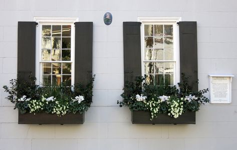 Black Window Box, English Style House, Exterior Vinyl Shutters, Window Boxes Diy, Exterior Window, Vinyl Shutters, Black Shutters, Window Box Flowers, Shutters Exterior