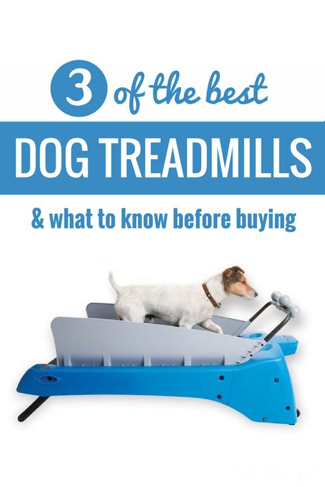 Workouts Treadmill, Dog Treadmills, Dog Treadmill, Treadmill Workouts, Buying Guide, Treadmill, Best Dogs, Product Reviews, A Dog