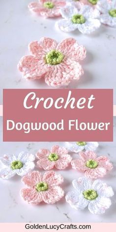 Irish Crochet Flowers, Crochet Spring, Dogwood Flower, Crochet Flowers Free Pattern, Spring Decoration, Crocheted Flowers, Bonnet Crochet, Dogwood Flowers, Crochet Plant