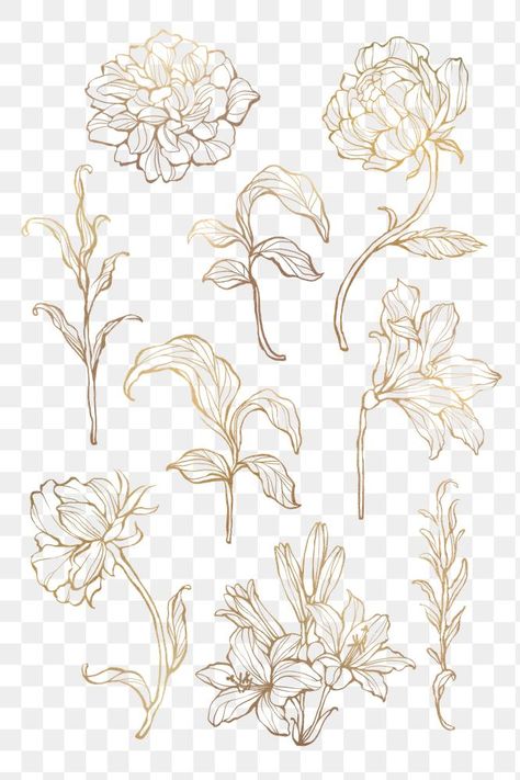 Leaf Outline, Png Elements, Flower Outline, Logo Idea, Floral Border Design, Marble Background, Floral Poster, Flower Background Wallpaper, Flower Logo