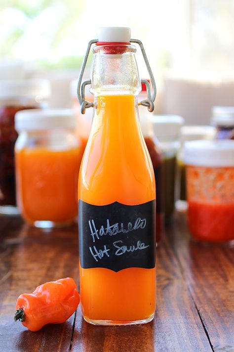 Habanero Hot Sauce - Fermented Food Lab Preserving Habanero Peppers, Fermented Habanero, Preserving Peppers, Fermenting Recipes, Habanero Recipes, Lacto Fermentation, Hot Sauce Recipe, Pepper Sauce Recipe, Habanero Sauce