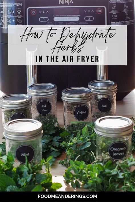 dehydrated herbs in jars with fresh herbs in front and air fryer in background Dehydrate In Air Fryer, Dehydrating In Air Fryer, Dehydrate Herbs, Drying Thyme, Dehydrating Herbs, Dehydrator Recipes Fruit, Drying Fresh Herbs, Dehydrated Apples, New Air Fryer Recipes