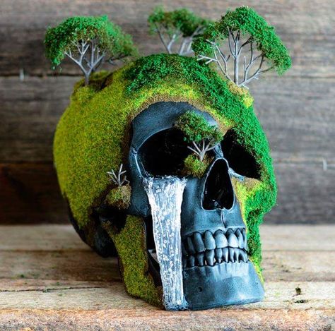 Figured Imgur would appreciate - Imgur Real Human Skull, Ar Art, Whats Wallpaper, Mini Bonsai, Diesel Punk, Goth Home, Goth Home Decor, Bonsai Garden, Skull Decor