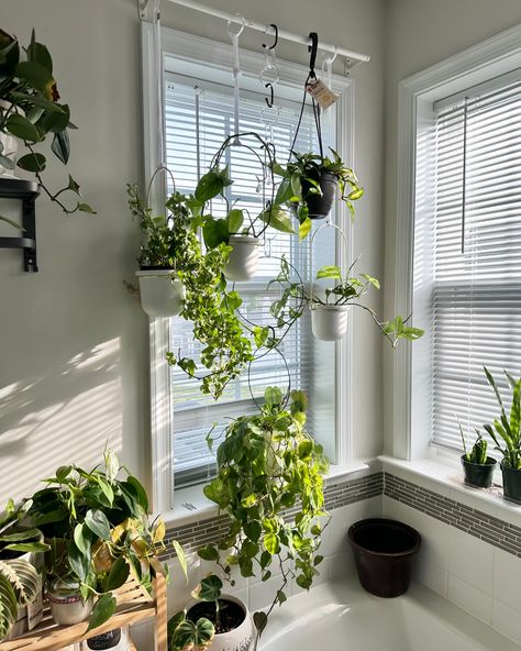 Greenery can indeed turn any window into a serene eacape...🌱🪴💚 #indoorplants #homedecor #plantlovers #windowview #greenliving Transform Your Home With Greenery, Indoor Plant Decor Ideas Greenery Over Windows, Window With Plants, Indoor Plant Decor Ideas, Plant Decor Ideas, Windowsill Plants, Window Sill Decor, Windowsill Garden, Window Plants, Plants Home