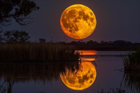 Tonight’s Must-See: The Hunter’s Moon Shines As 2024’s Brightest Supermoon Sharad Purnima, International Date Line, Planets In The Sky, Next Full Moon, The Great Comet, Geomagnetic Storm, Celestial Event, The Pleiades, Closer To The Sun