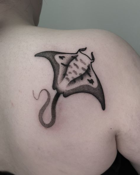 Sting ray tattoo on back of a shoulder Sting Ray Tattoo Traditional, Manta Ray Tattoo Traditional, Sting Ray Tattoo, Stingray Tattoo, Ray Tattoo, Tattoo On Back, Sharpie Tattoos, Octopus Tattoo, Female Tattoo Artists