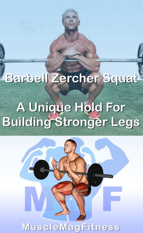 Barbell Zercher Squat certainly is a great movement to work your Quads. Would you want to get excellent technique and get stronger Quads efficiently? Then read our post so that you get going today. #musclemagfitness Zercher Squat Exercise, Barbell Squat Workout, Zercher Squat, Compound Lifts, Biceps Brachii, Barbell Squat, Compound Exercises, Squat Workout, Strong Legs