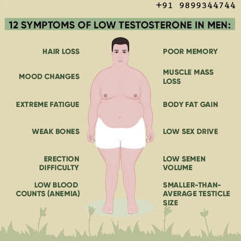 Low Testosterone, Also Known As Low T Or Hypogonadism, Is A Condition Characterized By shy Testosterone situations In The Body. Testosterone Is A Hormone Responsible For colorful Functions, Including Maintaining Libido, Muscle Mass, Bone Density, Mood, And Energy situations. When Testosterone situations Are Low, It Can Lead To Symptoms similar As Reduced coitus Drive, Fatigue, dropped Muscle Mass, Mood Changes, And Erectile Dysfunction. Testosterone Replacement Therapy, Ayurvedic Clinic, Ayurvedic Therapy, Mood Changes, Muscle Memory, Testosterone Levels, Hormone Levels, Bone Density, Muscle Mass