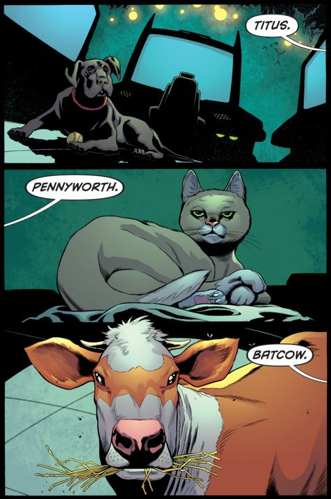 damian wayne's pets meets goliath Son Of Batman, I Am Batman, Batman Funny, Dc Comics Artwork, Damian Wayne, Dc Memes, Batman And Robin, Batman Family, Batman Robin