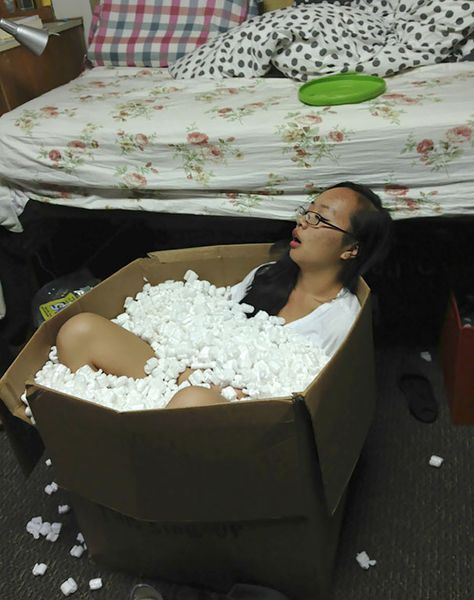 I Wake Up At 2 Am To Find My Roommate Passed Out In A Box Of Packing Peanuts Moving Party, Craft Embroidery, House Moving, College Kids, Have A Laugh, Laughing So Hard, Manado, Funny Pins, On The Floor