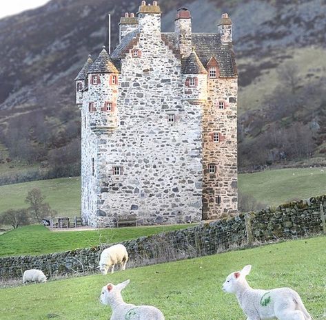 Forter Castle was built by the Ogilvys of Airlie as a fortified house in 1560. ▫️ The principal reason for construction was to fortify and… Forter Castle, Scottish Castles, Skyfall, Ancient Architecture, Medieval Castle, Scotland, Castle, Architecture, Building