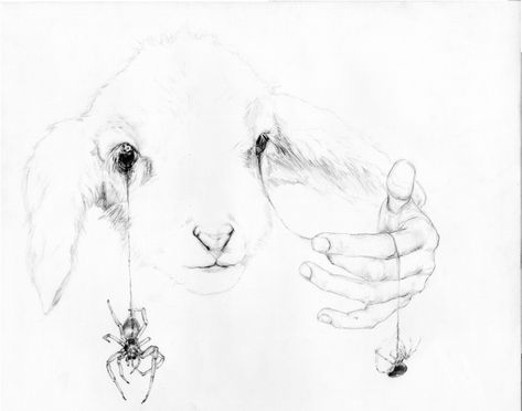 Lamb Reference, Mark Ryden, 4 Tattoo, Art Sketchbook, Pretty Art, Lebanon, Drawing Inspiration, Art Sketches, New Art